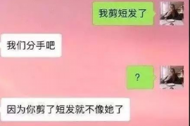 随县融资清欠服务